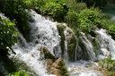 gal/cro 08/_thb_small-IMG_5616.JPG